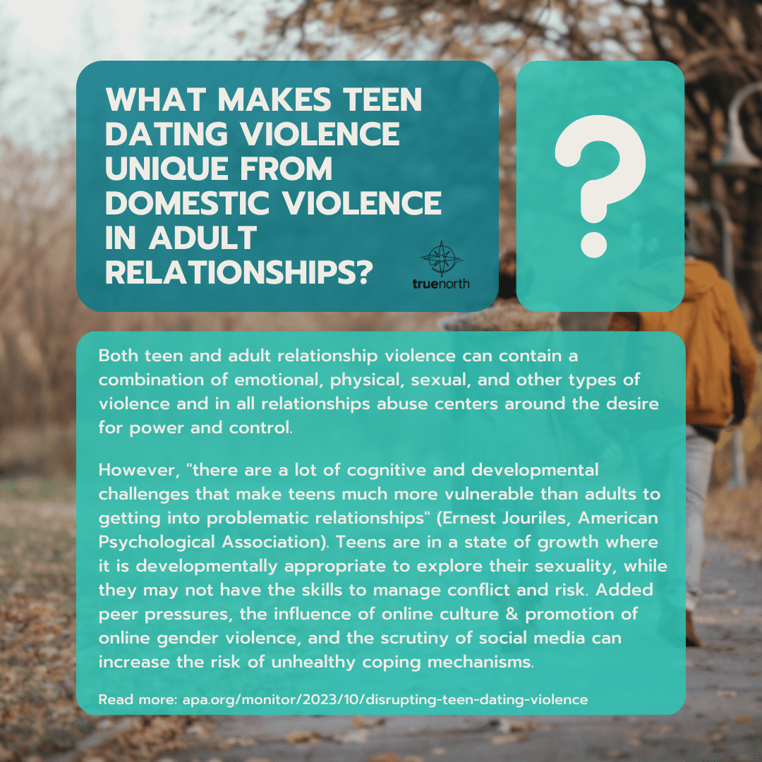Teen Dating Violence Post for TEENS (February) (5)