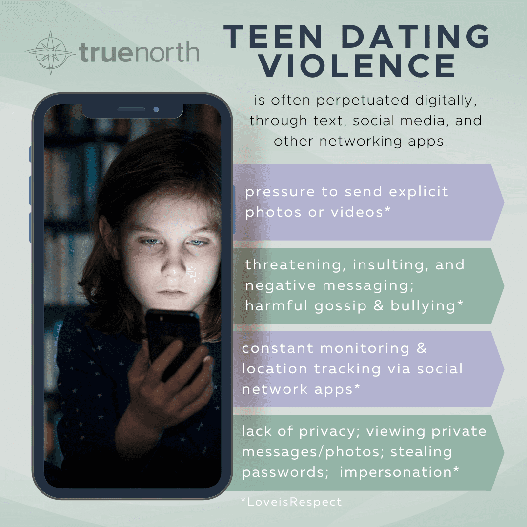 Teen Dating Violence Post for TEENS (February)